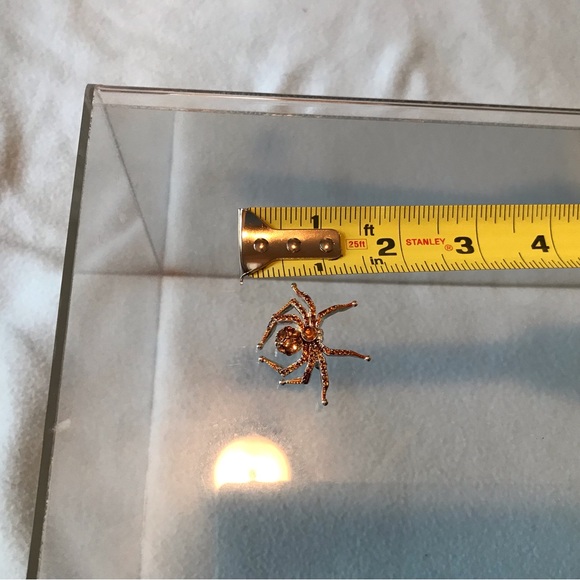 Spider Brooch - Picture 2 of 5